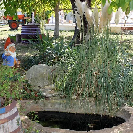 Family Friendly House With A Swimming Pool Valtura, Pula - 7325